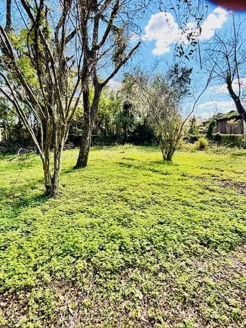 35441 Francine Drive, Zephyrhills, FL 33541 - Image #1