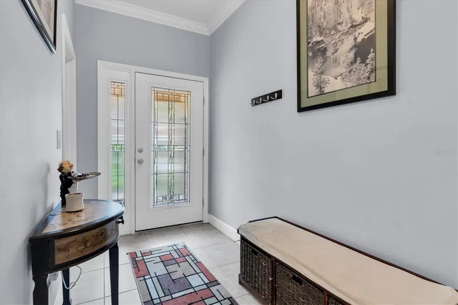 8703 Terracina Lake Drive, Tampa, FL 33625 - Image #3