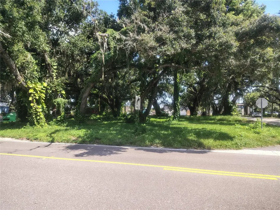 113 E Robertson Street, Brandon, FL 33511 - Image #2