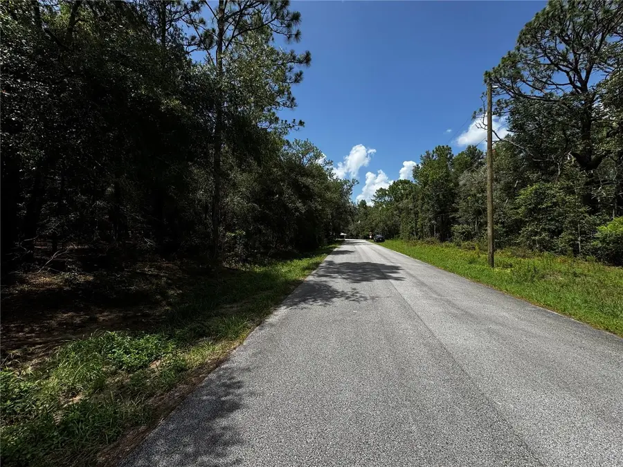SW 54th Street, Dunnellon, FL 34431 - Image #3