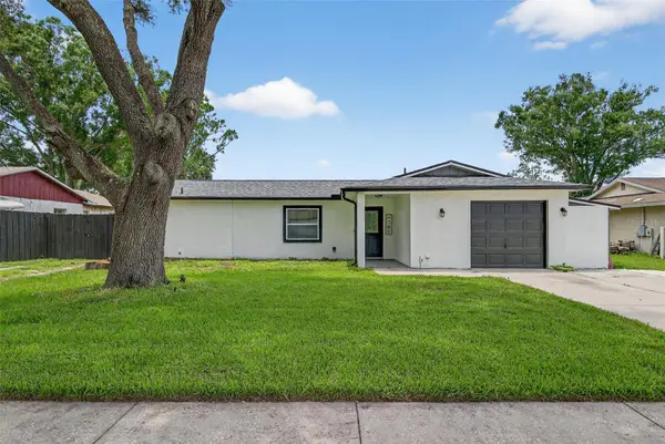 17821 Morninghigh Drive, LUTZ, FL 33549