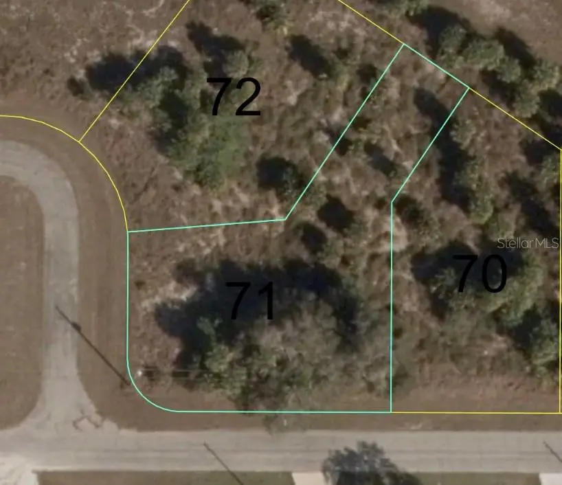 Argosy Road, Labelle, FL 33935 - Image #1