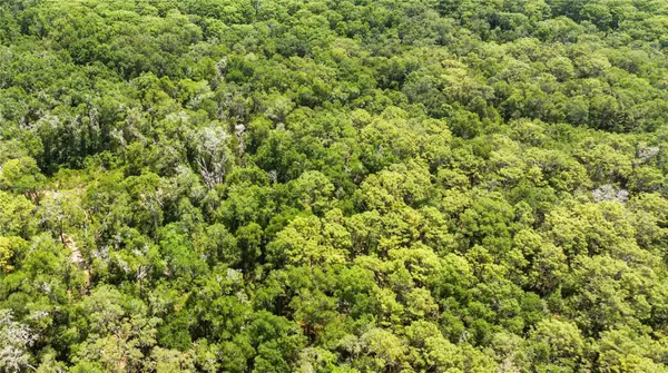 00 134th Court, WEIRSDALE, FL 32195