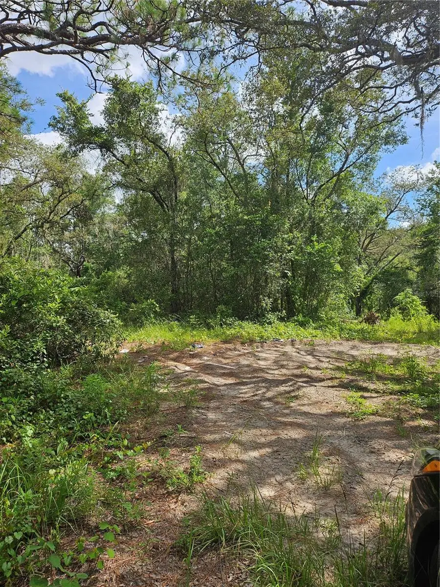 Us Highway 41, Spring Hill, FL 34610 - Image #3