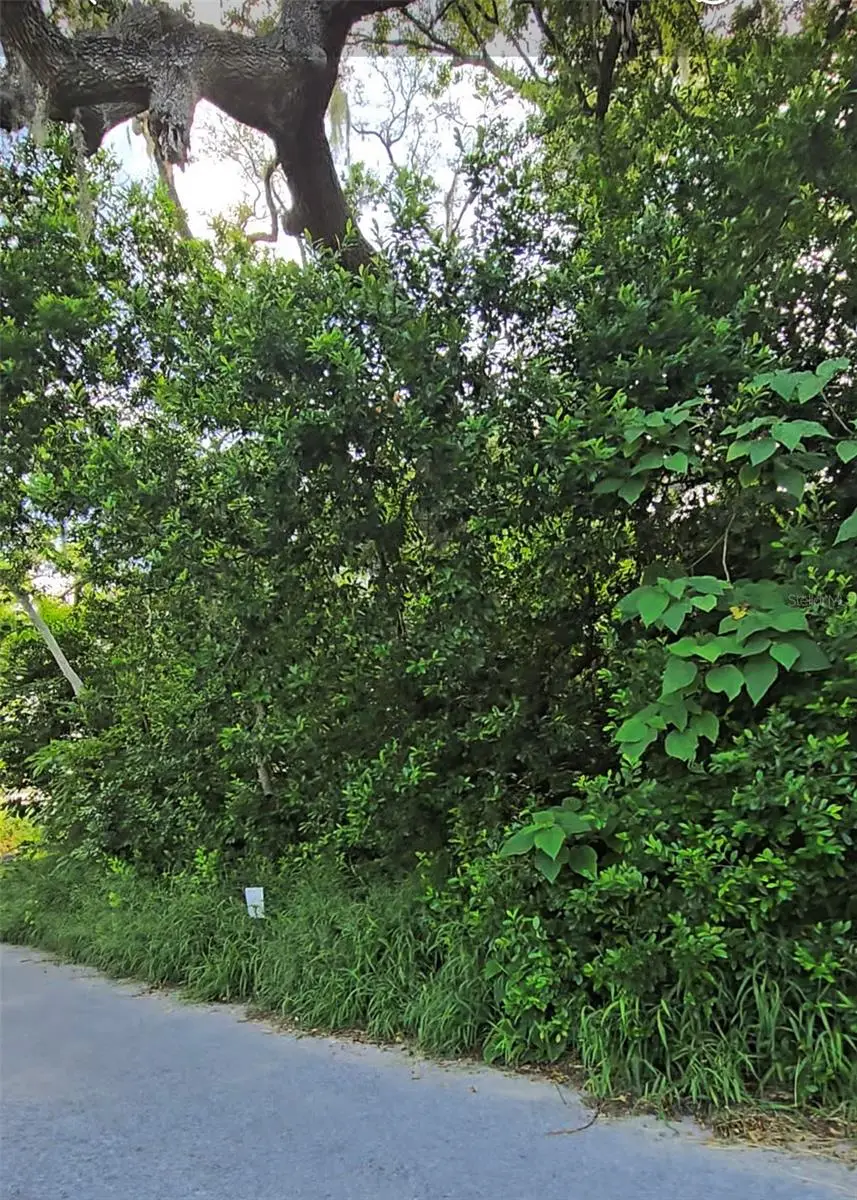 Lenox Drive, New Port Richey, FL 34653 - Image #3