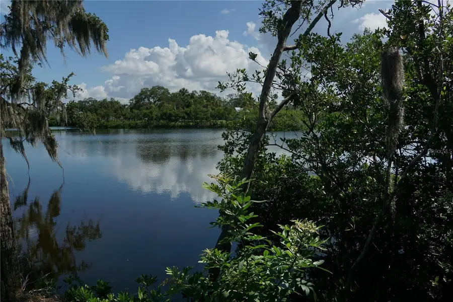 Tiberius Trail, New Port Richey, FL 34652 - Image #2
