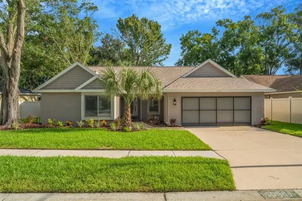 10301 Bellwood Avenue, NEW PORT RICHEY, FL 34654