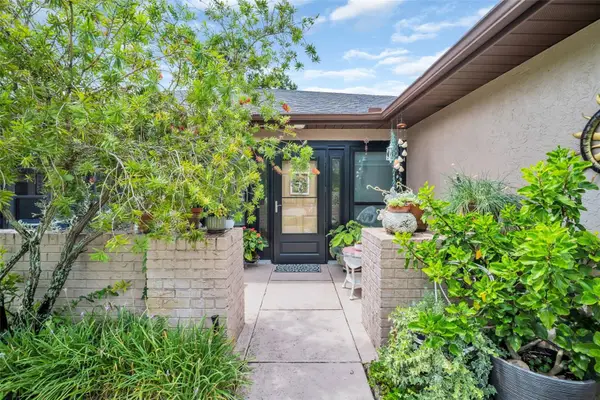 3284 Gorse Court, PALM HARBOR, FL 34684