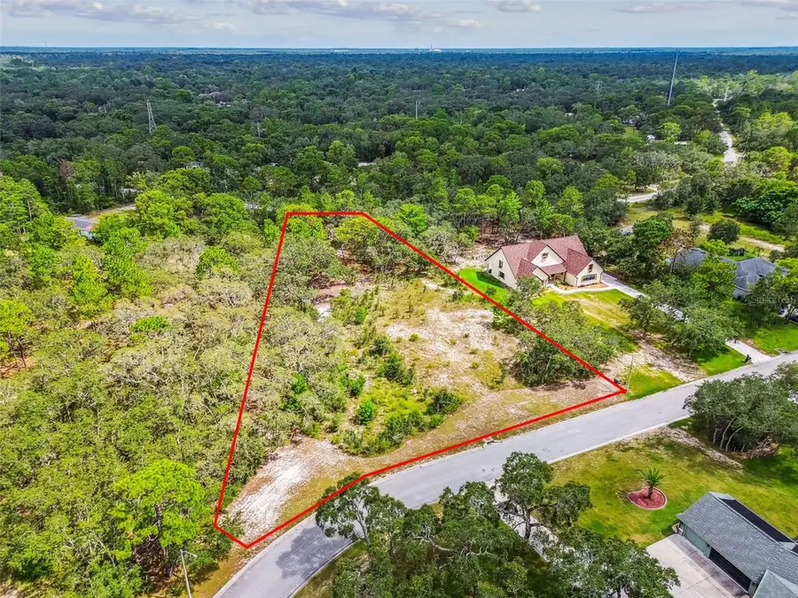 17942 Oggie Lane, Hudson, FL 34667 - Image #2