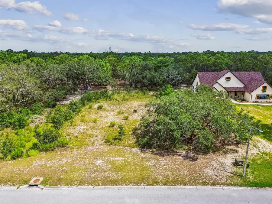 17942 Oggie Lane, Hudson, FL 34667 - Image #3