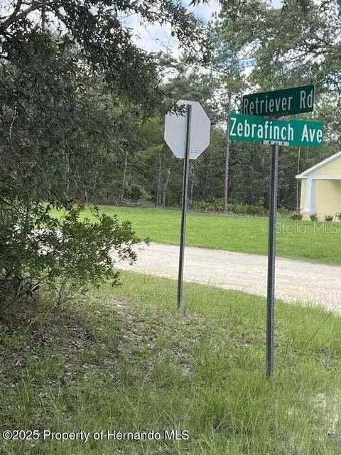 0 Zebrafinch Avenue, Weeki Wachee, FL 34614 - Image #2