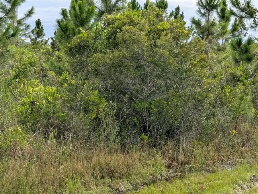 213 Belmonte Drive, Indian Lake Estates, FL 33855 - Image #3