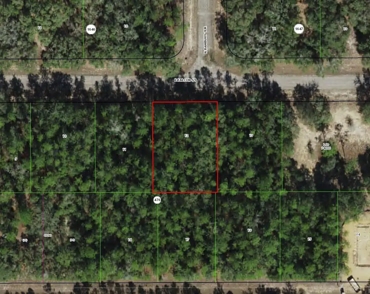 346 E Falcon Street, Citrus Springs, FL 34434 - Image #1