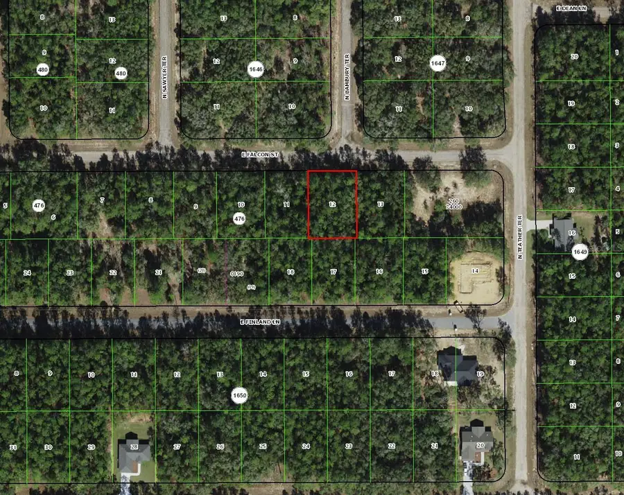 346 E Falcon Street, Citrus Springs, FL 34434 - Image #2