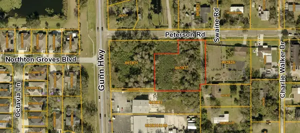 0 Peterson Road, ODESSA, FL 33556