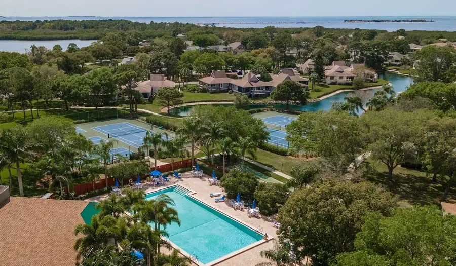 1023 Lake Avoca Place, Tarpon Springs, FL 34689 - Image #3