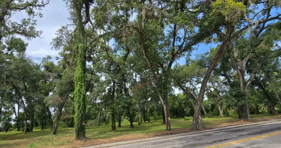 712 Lithia Pinecrest Road, Brandon, FL 33511 - Image #3