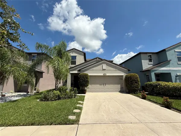 10235 Carloway Hills Drive, WIMAUMA, FL 33598