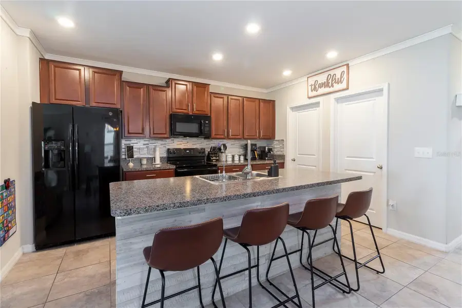 10235 Carloway Hills Drive, Wimauma, FL 33598 - Image #3