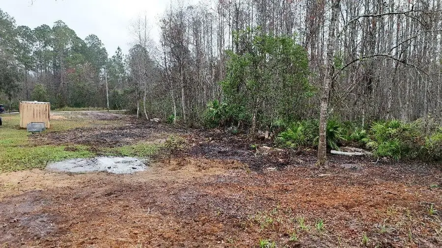 10733 Olsen Street, New Port Richey, FL 34654 - Image #2