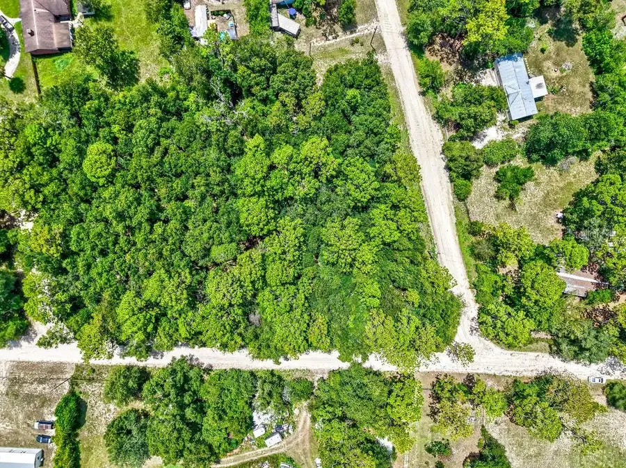 NE 51st Place, Williston, FL 32696 - Image #3