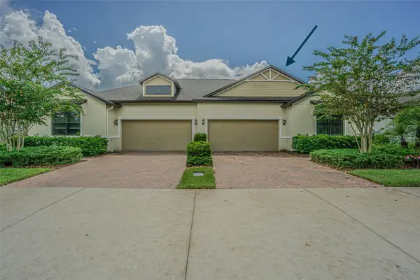 17124 Balance Cove, LAND O LAKES, FL 34638