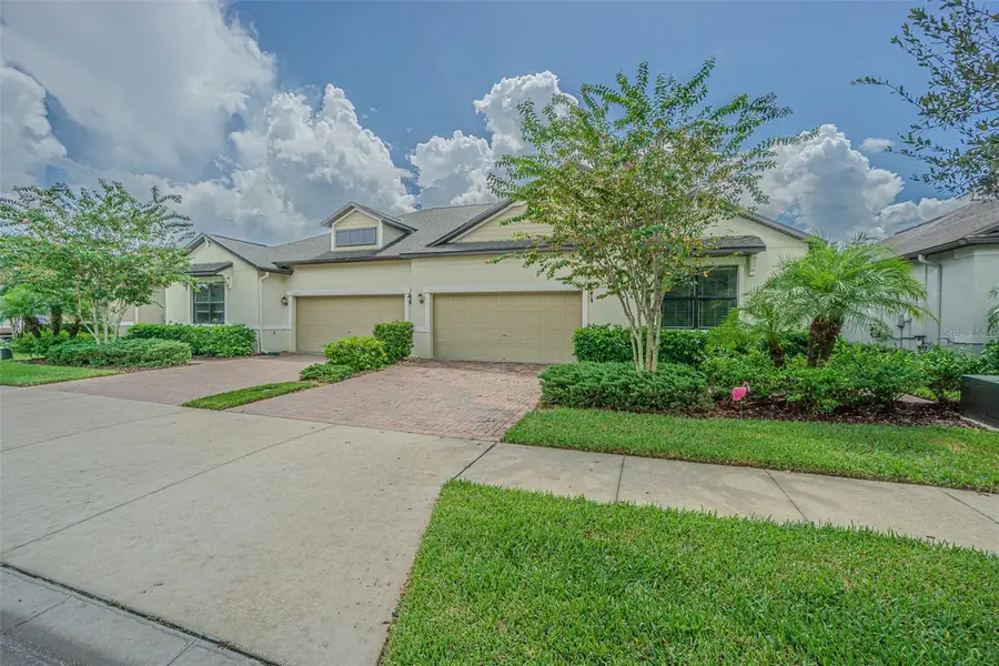 17124 Balance Cove, Land O Lakes, FL 34638 - Image #3