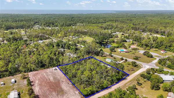 203 Ponderosa Pine Court, GEORGETOWN, FL 32139