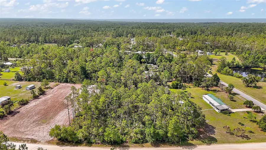 203 Ponderosa Pine Court, Georgetown, FL 32139 - Image #2