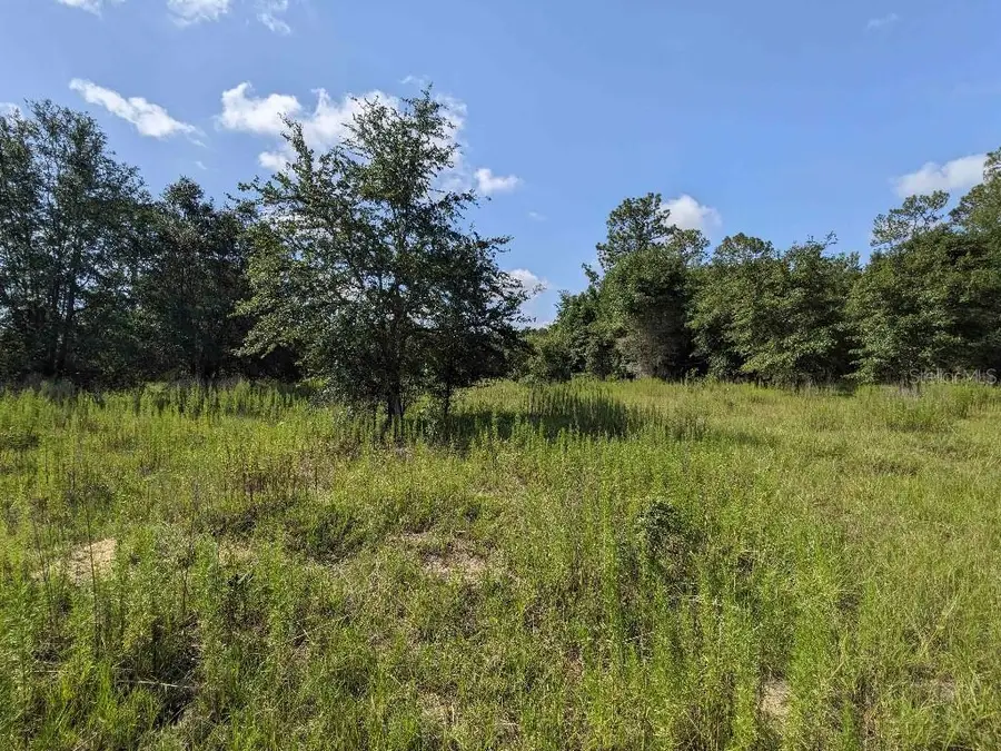 SE 37th Trail, Trenton, FL 32693 - Image #2