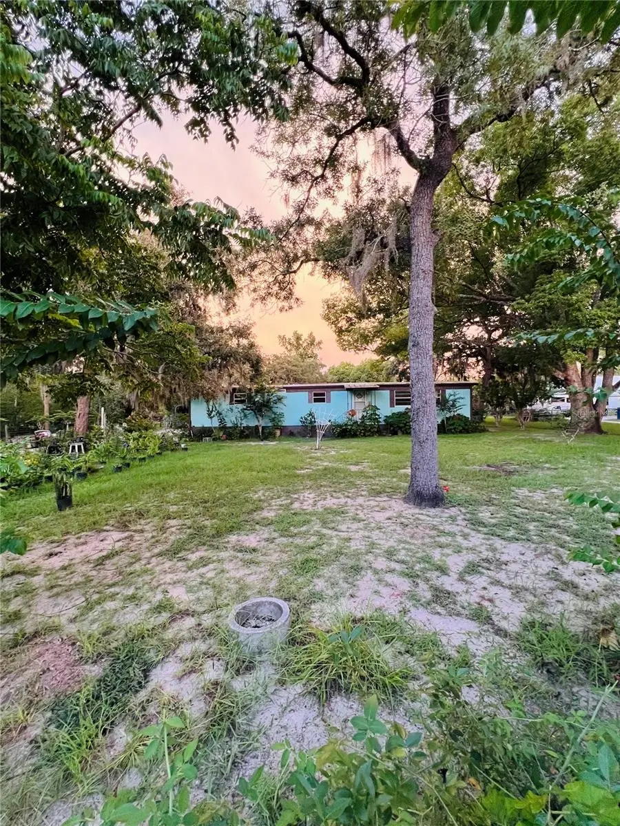 17222 Dansville Drive, Spring Hill, FL 34610 - Image #2