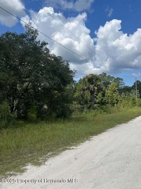 0 0 Yellow Frog Avenue, Weeki Wachee, FL 34614 - Image #2