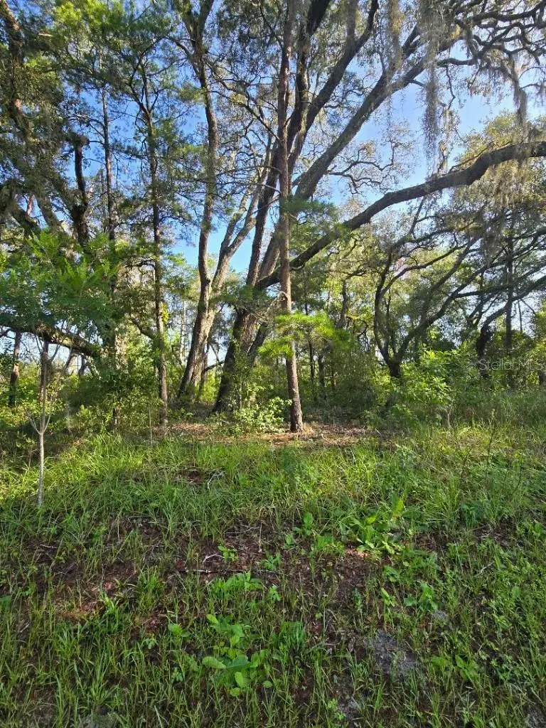 13603 Gopher Pond Court, Hudson, FL 34669 - Image #2