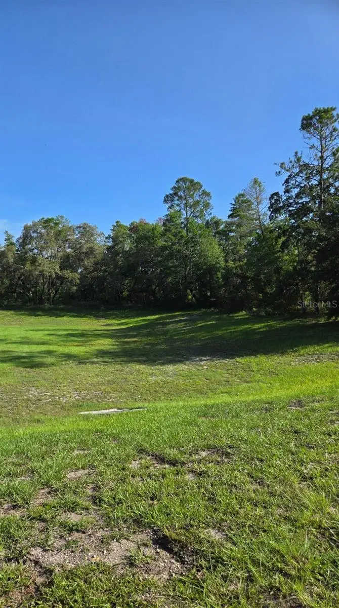 13603 Gopher Pond Court, Hudson, FL 34669 - Image #3