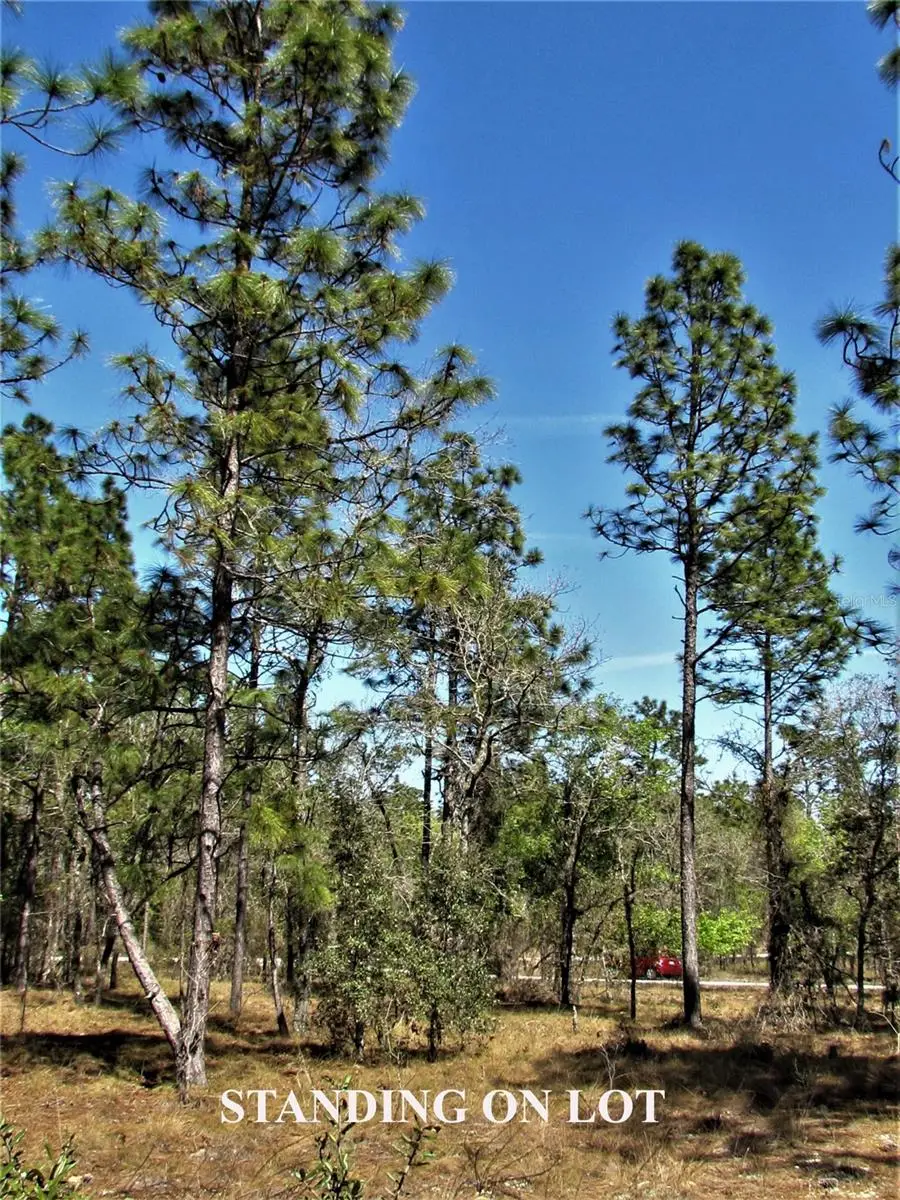 Lombardy Lane, Dunnellon, FL 34431 - Image #3