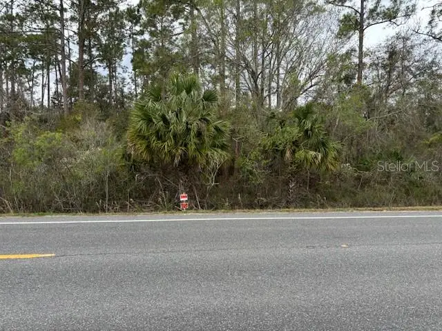 7025 Treiman Boulevard, Webster, FL 33597 - Image #1