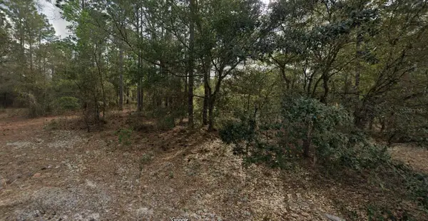 228 14th Street, INTERLACHEN, FL 32148