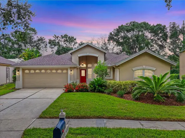 3125 Bent Creek Drive, VALRICO, FL 33596