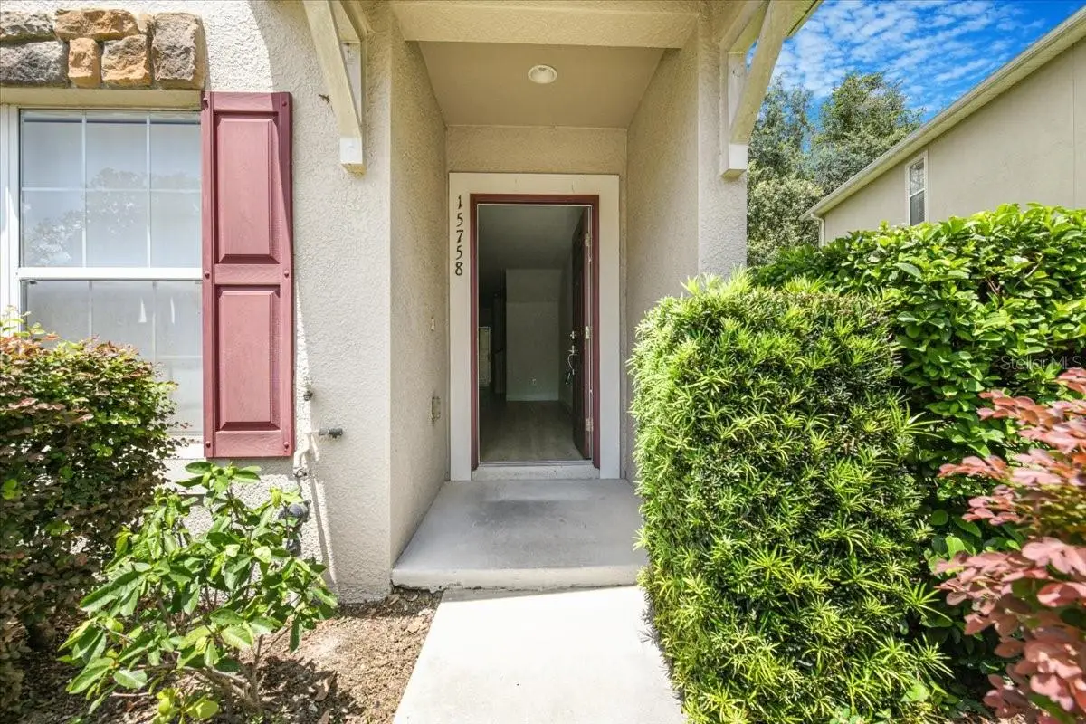 15758 Fishhawk Falls Drive, Lithia, FL 33547 - Image #1