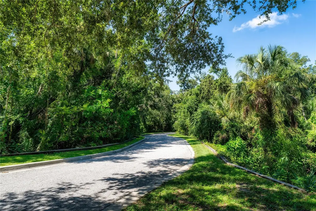 4710 Rambling River Road, Brandon, FL 33511 - Image #1