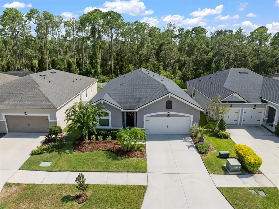 13223 Baby Belle Drive, Riverview, FL 33579 - Image #2