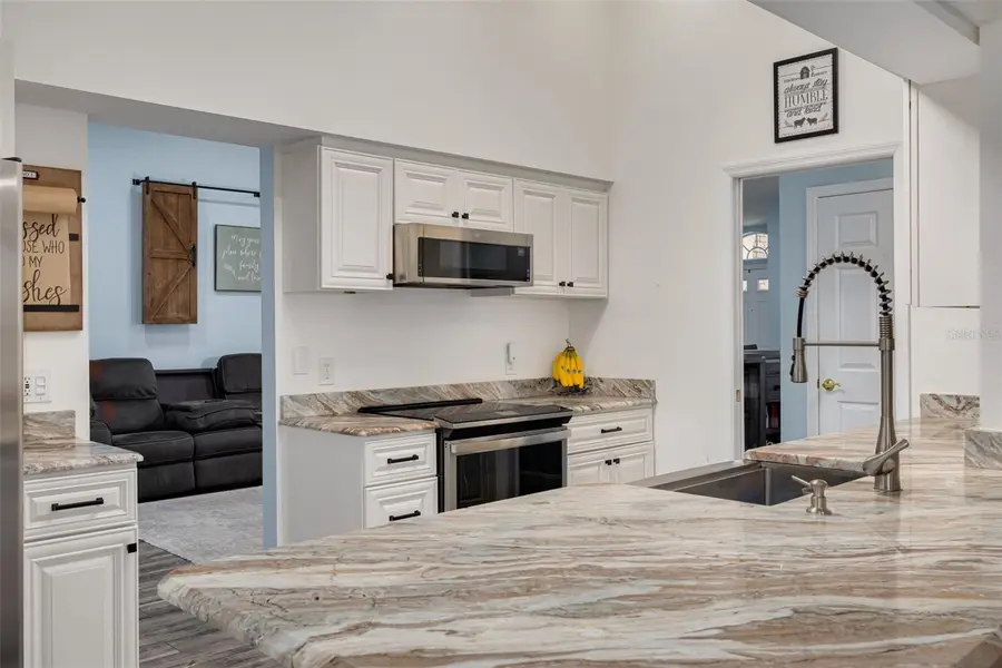 1055 Blyth Hill Court, Trinity, FL 34655 - Image #3