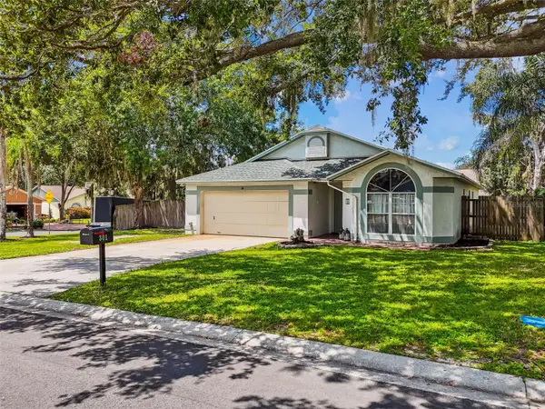 301 Sugar Creek Drive, PLANT CITY, FL 33563