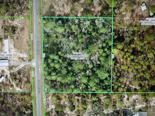 Salome Street, Brooksville, FL 34614 - Image #3