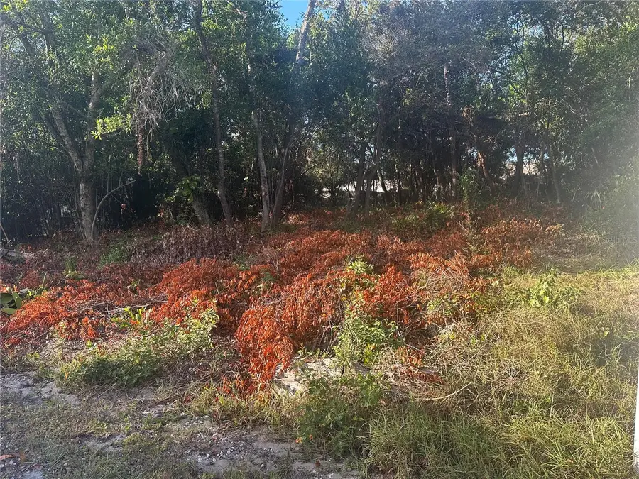 7291 Radcliff Street, Spring Hill, FL 34606 - Image #2