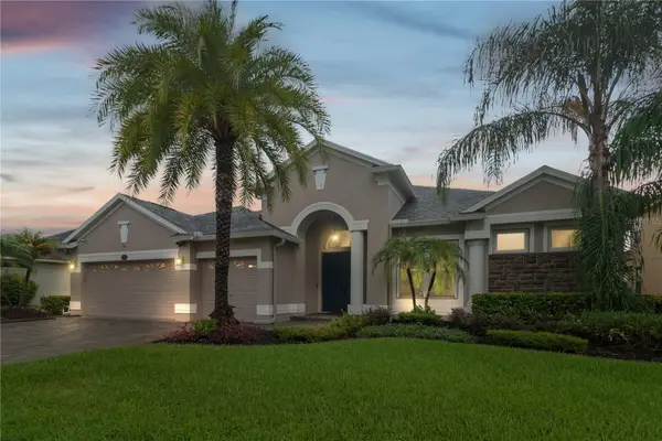 16219 Ivy Lake Drive, ODESSA, FL 33556