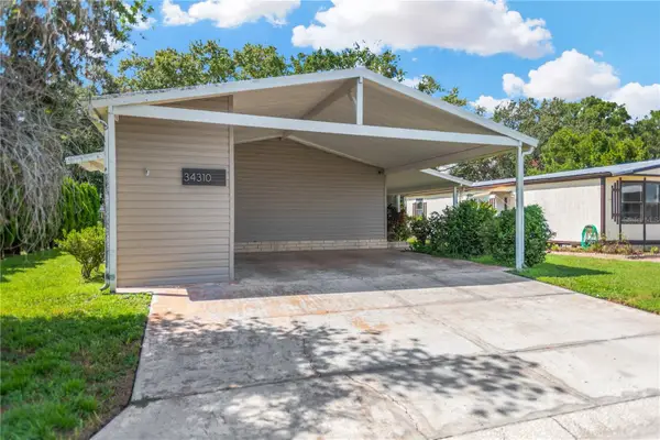 34310 Lodge Drive, WESLEY CHAPEL, FL 33543