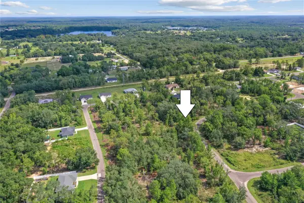 0024 Guava Pass Drive, OCKLAWAHA, FL 32179