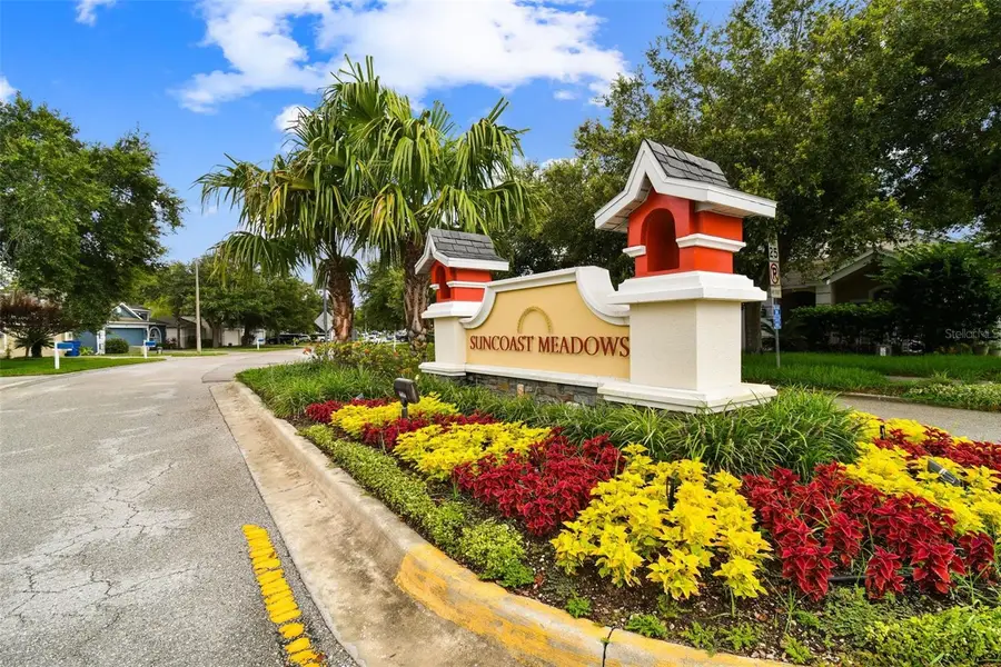 2822 Mingo Drive, Land O Lakes, FL 34638 - Image #3