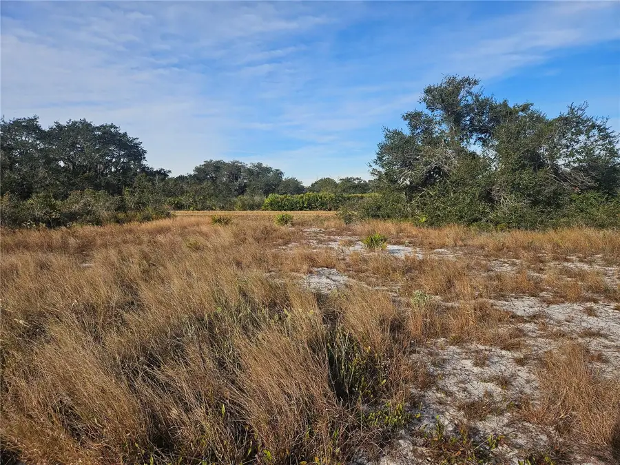 625 S Reed Road, Avon Park, FL 33825 - Image #2